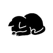 ヒメ日記 2025/12/20 19:55 投稿 よる 錦糸町ちゃんこ