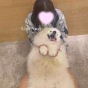 ヒメ日記 2026/01/22 12:11 投稿 にこ【やわらか癒し系♡】 LIPS(リップス)