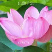 ヒメ日記 2025/12/17 17:41 投稿 ユキヤ 【福岡デリヘル】20代・30代★博多で評判のお店はココです！