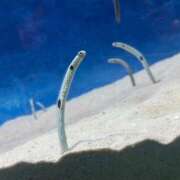 ヒメ日記 2026/04/11 19:11 投稿 なお【透明感の奥にふわっと甘さ】 LIPS(リップス)