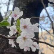 ゆずめろ 久しぶりに出勤！ サティアンまーと