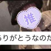ヒメ日記 2025/12/31 20:54 投稿 月野れれ 手コキ研修塾