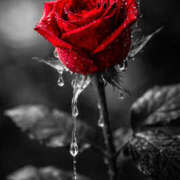 ヒメ日記 2026/02/04 10:46 投稿 ゆうき スイートマダム古河店