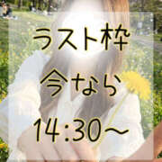 ヒメ日記 2026/04/04 14:29 投稿 にじか 迷宮の人妻 古河・久喜発