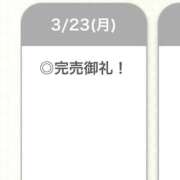 ヒメ日記 2026/03/23 11:27 投稿 ゆかり【乃〇坂系S級美女】 STELLA TOKYO－ステラトウキョウ－