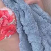 ヒメ日記 2026/04/30 11:33 投稿 ゆかり【乃〇坂系S級美女】 STELLA TOKYO－ステラトウキョウ－