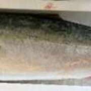 ヒメ日記 2025/12/20 14:02 投稿 星風 もえ 人妻セレブ宮殿