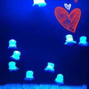 ヒメ日記 2026/01/13 22:15 投稿 星風 もえ 人妻セレブ宮殿