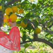 ヒメ日記 2026/01/15 14:45 投稿 星風 もえ 人妻セレブ宮殿