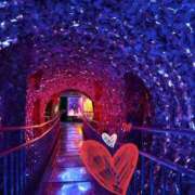 ヒメ日記 2026/01/21 15:45 投稿 星風 もえ 人妻セレブ宮殿