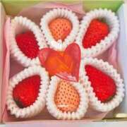 ヒメ日記 2026/01/23 08:15 投稿 星風 もえ 人妻セレブ宮殿