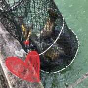 ヒメ日記 2026/01/30 16:15 投稿 星風 もえ 人妻セレブ宮殿