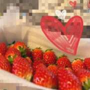 ヒメ日記 2026/02/04 11:30 投稿 星風 もえ 人妻セレブ宮殿