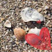 ヒメ日記 2026/02/07 14:45 投稿 星風 もえ 人妻セレブ宮殿