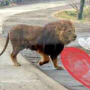 ヒメ日記 2026/02/16 12:50 投稿 星風 もえ 人妻セレブ宮殿