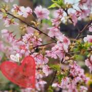 ヒメ日記 2026/02/26 22:32 投稿 星風 もえ 人妻セレブ宮殿