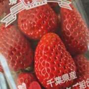 ヒメ日記 2026/03/01 18:01 投稿 星風 もえ 人妻セレブ宮殿