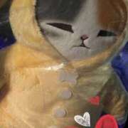 ヒメ日記 2026/03/02 22:15 投稿 星風 もえ 人妻セレブ宮殿