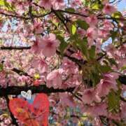 ヒメ日記 2026/03/05 15:58 投稿 星風 もえ 人妻セレブ宮殿