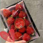 ヒメ日記 2026/03/10 11:15 投稿 星風 もえ 人妻セレブ宮殿