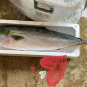 ヒメ日記 2026/03/16 14:30 投稿 星風 もえ 人妻セレブ宮殿