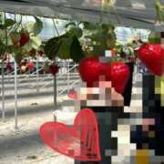 ヒメ日記 2026/03/22 11:11 投稿 星風 もえ 人妻セレブ宮殿