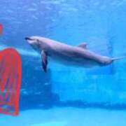 ヒメ日記 2026/03/24 12:34 投稿 星風 もえ 人妻セレブ宮殿