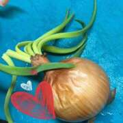 ヒメ日記 2026/03/27 19:31 投稿 星風 もえ 人妻セレブ宮殿