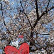 ヒメ日記 2026/03/28 15:42 投稿 星風 もえ 人妻セレブ宮殿