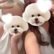 ヒメ日記 2026/01/31 21:50 投稿 ののか エマニエル秋葉原