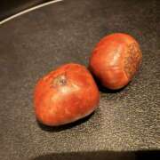 ヒメ日記 2026/02/01 00:37 投稿 ののか エマニエル秋葉原