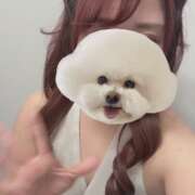 ヒメ日記 2026/02/19 23:30 投稿 ののか エマニエル秋葉原