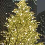 ヒメ日記 2025/12/24 14:28 投稿 みひろ【S級清楚素人は超美脚】 STELLA NEXT－ステラネクスト－