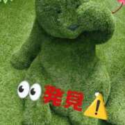 ヒメ日記 2026/05/31 13:29 投稿 かすみ 華椿（YESグループヨコハマ）