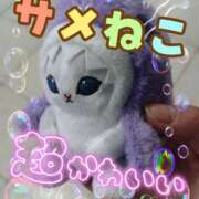 ヒメ日記 2026/10/14 12:10 投稿 かすみ 華椿（YESグループヨコハマ）