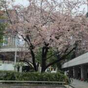 ヒメ日記 2026/03/13 12:17 投稿 そろ あげまん 梅田店