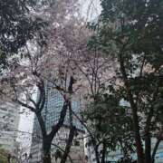 ヒメ日記 2026/03/24 12:28 投稿 そろ あげまん 梅田店