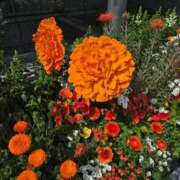 ヒメ日記 2026/03/30 16:42 投稿 そろ あげまん 梅田店