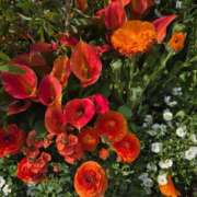 ヒメ日記 2026/03/30 23:06 投稿 そろ あげまん 梅田店