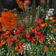 ヒメ日記 2026/04/01 11:20 投稿 そろ あげまん 梅田店