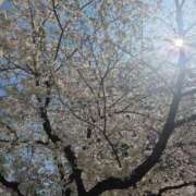 ヒメ日記 2026/04/03 21:33 投稿 そろ あげまん 梅田店