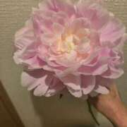 ヒメ日記 2026/06/19 19:36 投稿 そろ あげまん 梅田店