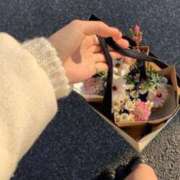 ヒメ日記 2025/12/22 18:18 投稿 れんか【美の真骨頂】 仙台大人の秘密倶楽部