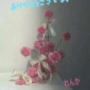 ヒメ日記 2026/01/21 07:33 投稿 れんか【美の真骨頂】 仙台大人の秘密倶楽部