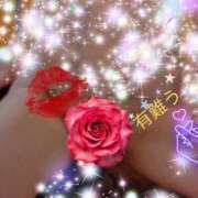 ななせ ❤️❤️☺️💖クラブ御礼❤️❤️☺️💖🎀🌿💖 奥様の実話 谷九店