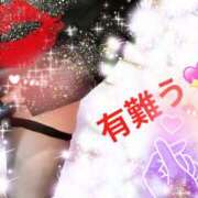 ヒメ日記 2026/03/01 00:15 投稿 ななせ 奥様の実話 谷九店