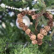 ヒメ日記 2025/12/17 17:34 投稿 美郷 OL物語