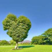 ヒメ日記 2025/12/17 20:38 投稿 美郷 OL物語