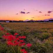 ヒメ日記 2025/12/19 21:10 投稿 美郷 OL物語