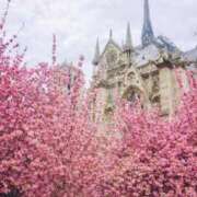 ヒメ日記 2026/04/02 22:21 投稿 氷月 美子 横浜貴楼館